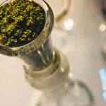 Cannabis Smoking Accessories & Cannabis best-Bong Brand Reviews