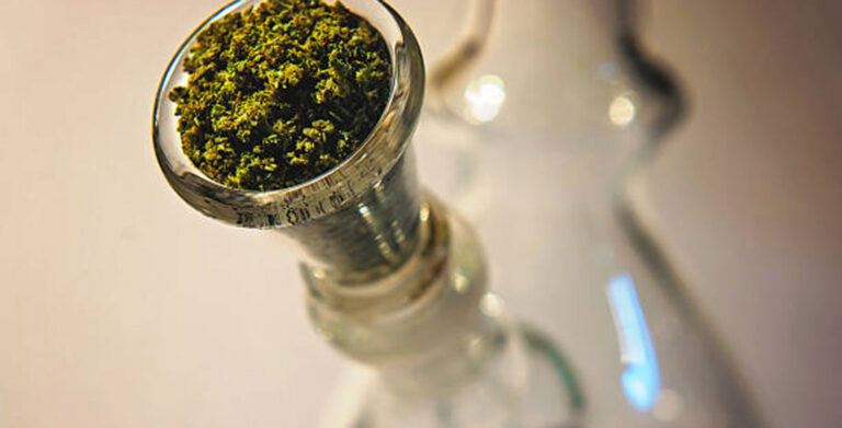 Read more about the article Cannabis Smoking Accessories & Cannabis best-Bong Brand Reviews