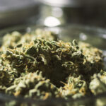 Air Tight Storage Tips to Ensure Optimum Quality Cannabis