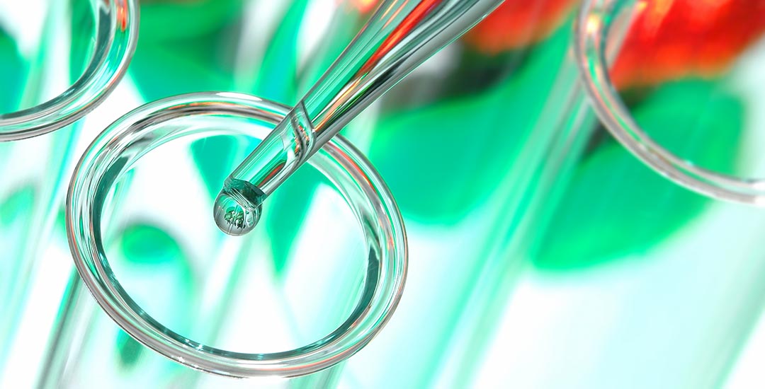 You are currently viewing Latest Medicinal Scientific Research on Terpenes & Cannabinoids